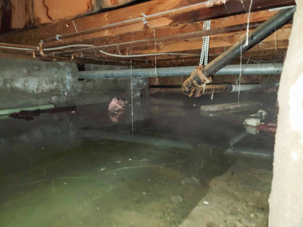 Best 24-hour water damage restoration  in Chesnut Hill, PA