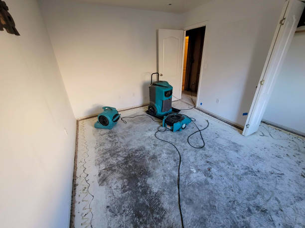 Best Flood restoration services  in Chesnut Hill, PA