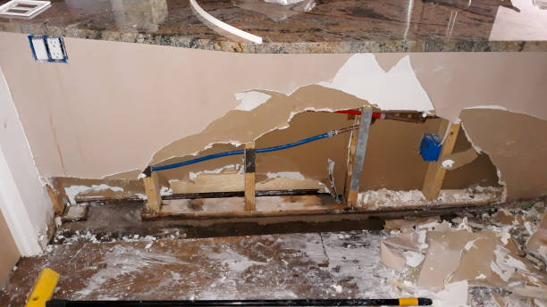 Best Ceiling water damage repair  in Chesnut Hill, PA