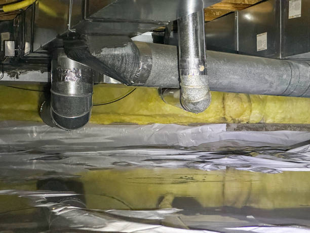 Best Professional water damage repair  in Chesnut Hill, PA